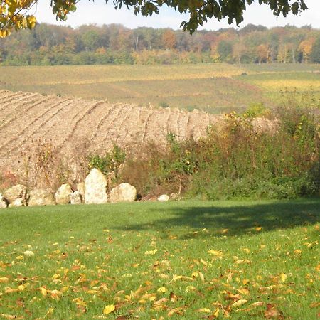Châtillon-sur-Marne Domaine Du Moulin De L'Etang Bed & Breakfast エクステリア 写真