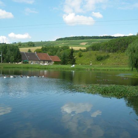 Châtillon-sur-Marne Domaine Du Moulin De L'Etang Bed & Breakfast エクステリア 写真