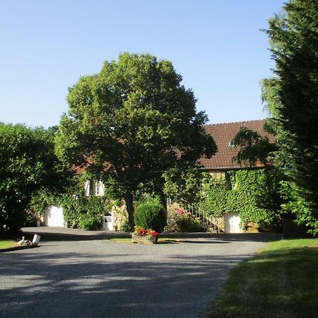 Châtillon-sur-Marne Domaine Du Moulin De L'Etang Bed & Breakfast エクステリア 写真