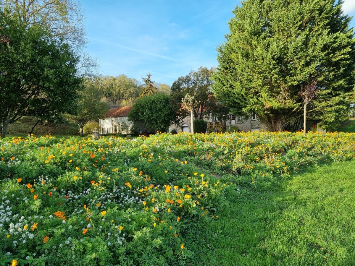 Châtillon-sur-Marne Domaine Du Moulin De L'Etang Bed & Breakfast エクステリア 写真