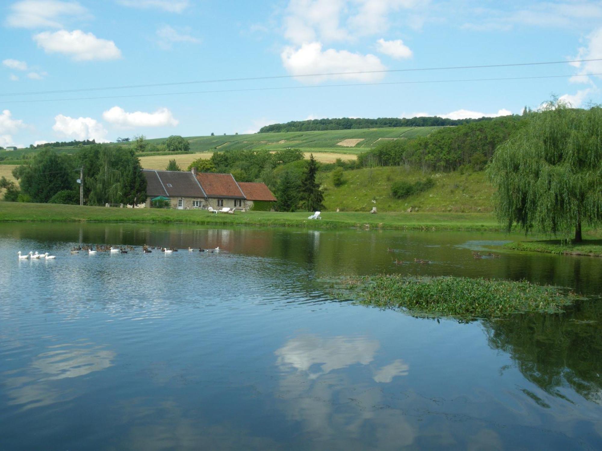 Châtillon-sur-Marne Domaine Du Moulin De L'Etang Bed & Breakfast エクステリア 写真