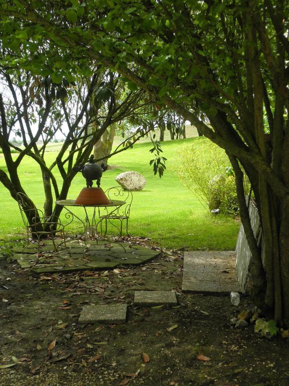 Châtillon-sur-Marne Domaine Du Moulin De L'Etang Bed & Breakfast エクステリア 写真