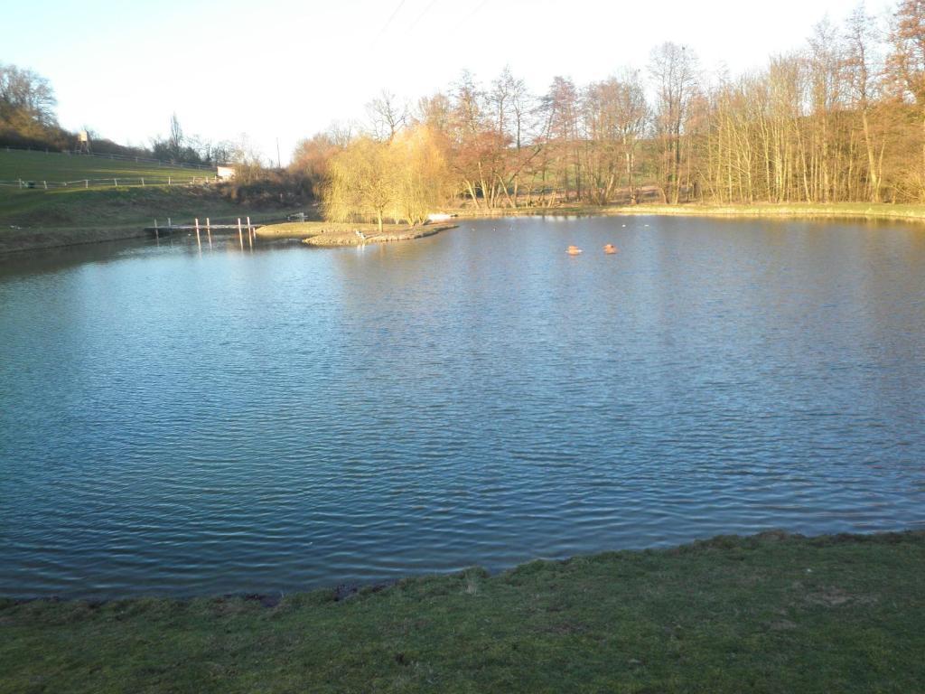 Châtillon-sur-Marne Domaine Du Moulin De L'Etang Bed & Breakfast エクステリア 写真