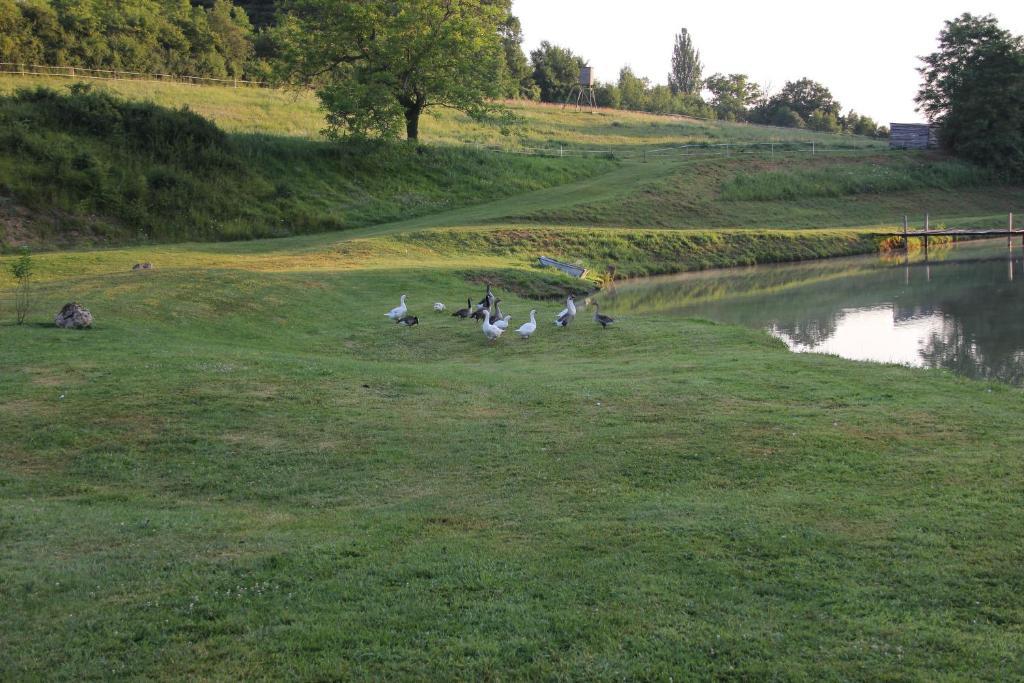 Châtillon-sur-Marne Domaine Du Moulin De L'Etang Bed & Breakfast エクステリア 写真