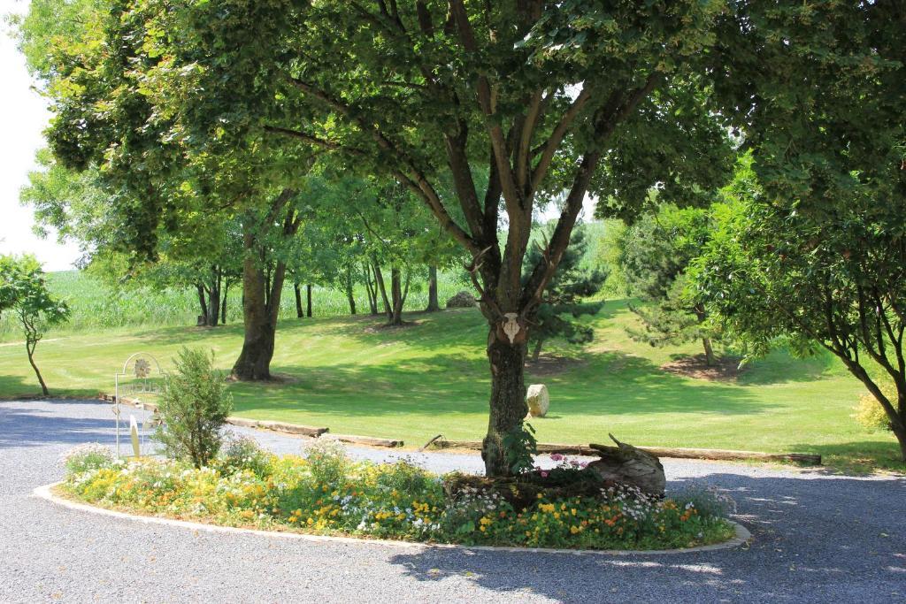 Châtillon-sur-Marne Domaine Du Moulin De L'Etang Bed & Breakfast エクステリア 写真