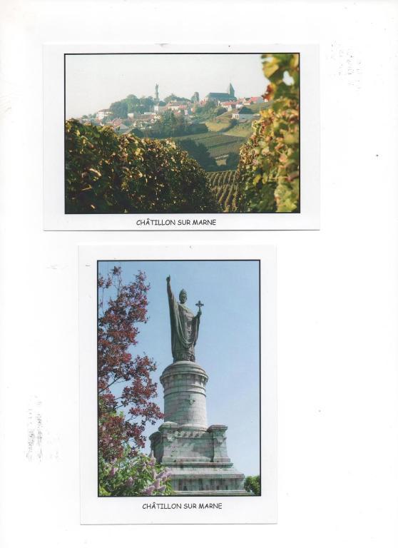 Châtillon-sur-Marne Domaine Du Moulin De L'Etang Bed & Breakfast エクステリア 写真