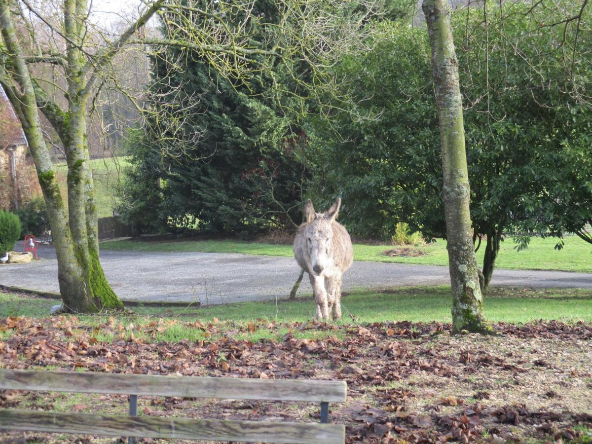 Châtillon-sur-Marne Domaine Du Moulin De L'Etang Bed & Breakfast エクステリア 写真